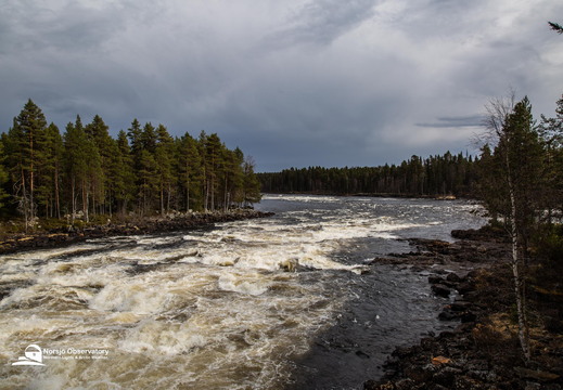 Mårdseleforsens naturreservat